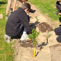 Plantation d'arbres champêtres au collège Olympe de Gouges, Association Campagnes Vivantes 82