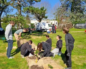 Plantation d'arbres champêtres au collège Olympe de Gouges, Association Campagnes Vivantes 82