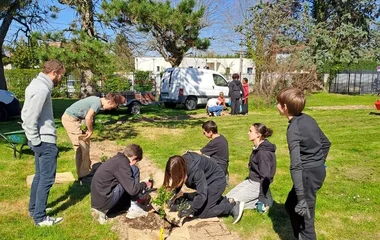 Plantation d'arbres champêtres au collège Olympe de Gouges, Association Campagnes Vivantes 82