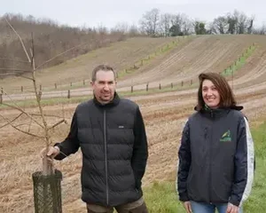 Agroforesterie pour limiter l'érosion des sols, Association Campagnes Vivantes 82, Photo REUSSIR