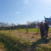 Sensibils'haie, plantation avec les élèves de Fabas, Association Campagnes Vivantes 82