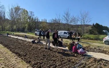 Sensibils'haie, plantation avec les élèves de Comberouger, Association Campagnes Vivantes 82