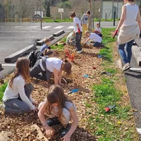 Plantation haie champêtre à Caylus, Ecole, Association Campagnes Vivantes 82