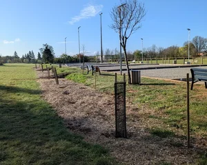 Plantation haie champêtre à Caylus, Boulodrome, Association Campagnes Vivantes 82