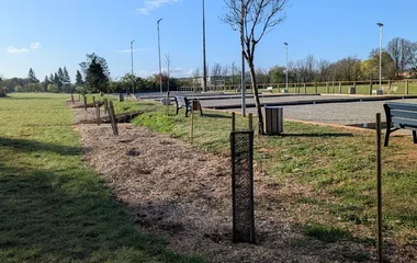 Plantation haie champêtre à Caylus, Boulodrome, Association Campagnes Vivantes 82