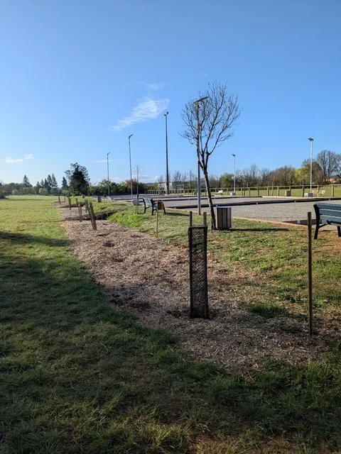 Plantation haie champêtre à Caylus, Boulodrome, Association Campagnes Vivantes 82