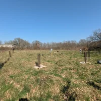 Plantation arbres chanpêtres, Verdun-sur-Garonne, Association Campagnes Vivantes 82