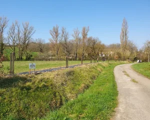 Plantation arbres chanpêtres, Verdun-sur-Garonne, Association Campagnes Vivantes 82
