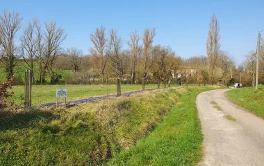 Plantation arbres chanpêtres, Verdun-sur-Garonne, Association Campagnes Vivantes 82