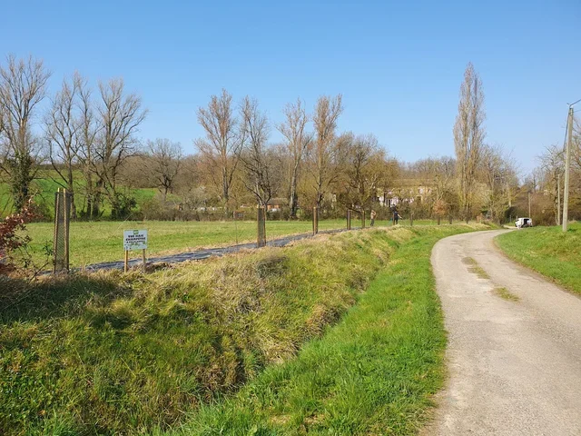 Plantation arbres chanpêtres, Verdun-sur-Garonne, Association Campagnes Vivantes 82