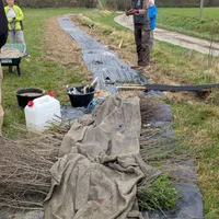 Plantation arbres chanpêtres, Verdun-sur-Garonne, Association Campagnes Vivantes 82