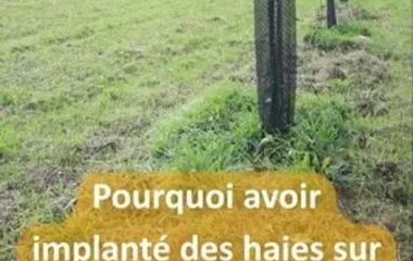 Saint-Sardos, haies champêtres ert agroforesterie, Association Campagnes Vivantes 82