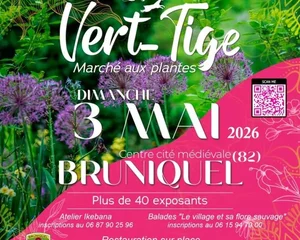 Vert-Tige, Bruniquel