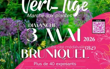 Vert-Tige, Bruniquel