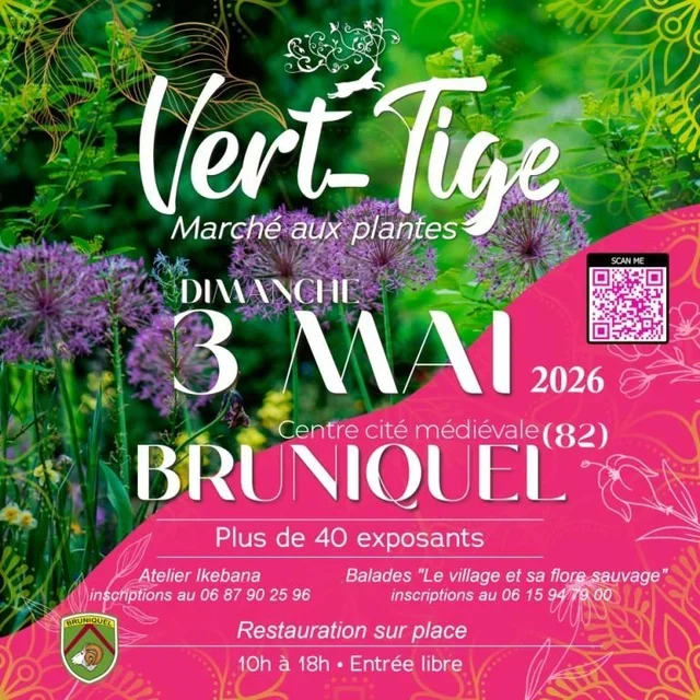 Vert-Tige, Bruniquel