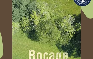 Projection du documentaire "Bocage, nos haies communes" et soirée ciné-débat