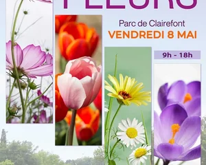 Arts en Fleurs, Castelsarrasin, Association Campagnes Vivantes 82