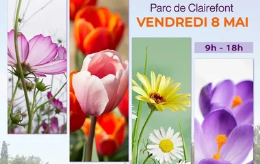 Arts en Fleurs, Castelsarrasin, Association Campagnes Vivantes 82