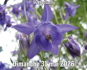 Foire aux plantes rares, Saint Nicolas de la Grave