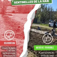 Sentinelles de la Haies 2026, France Nature Environnement Occitanie