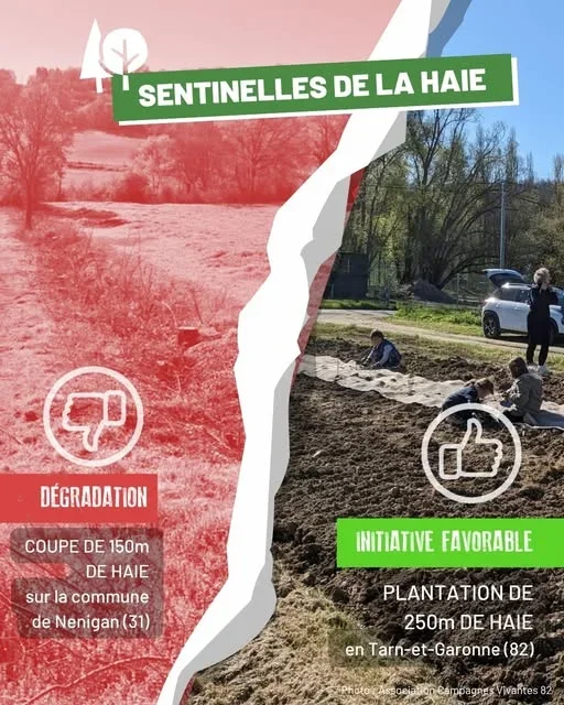 Sentinelles de la Haies 2026, France Nature Environnement Occitanie