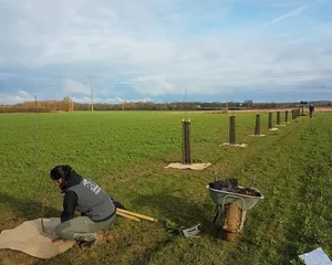 Plantation d'arbres champêtres et fruitiers à Saint-Sardos aux côtés de l'Association A croquer