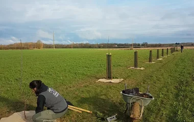 Plantation d'arbres champêtres et fruitiers à Saint-Sardos aux côtés de l'Association A croquer