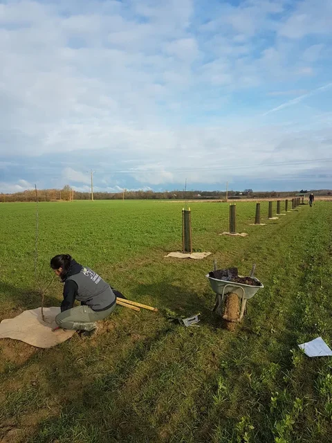 Plantation d'arbres champêtres et fruitiers à Saint-Sardos aux côtés de l'Association A croquer