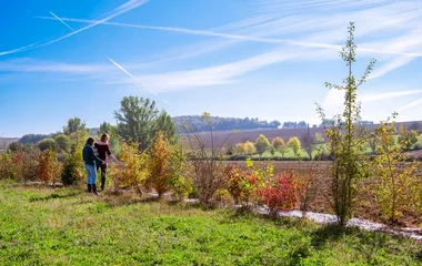 Visite d'étude des projets de plantation, Association Campagnes Vivantes 82, Crédit photo : Sébastien Pouchard