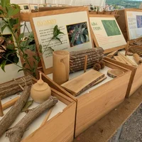 Fête de l'Arbre et de la Haie, Lafrançaise, Association Campagnes Vivantes 82