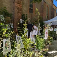 Fête de l'Arbre et de la Haie, Lafrançaise, Association Campagnes Vivantes 82