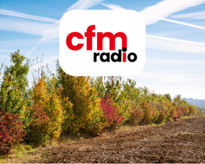 Larbre de pays et la haie champêtre, CFM Radio Mobntauban, Association Campagnes vivantes 82