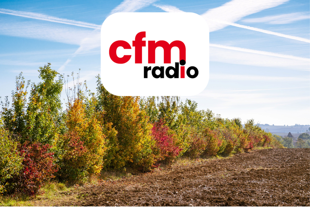 Larbre de pays et la haie champêtre, CFM Radio Mobntauban, Association Campagnes vivantes 82