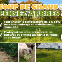 Planter des arbres et haies champêtres, Association Campagnes Vivantes 82