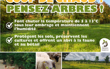 Planter des arbres et haies champêtres, Association Campagnes Vivantes 82