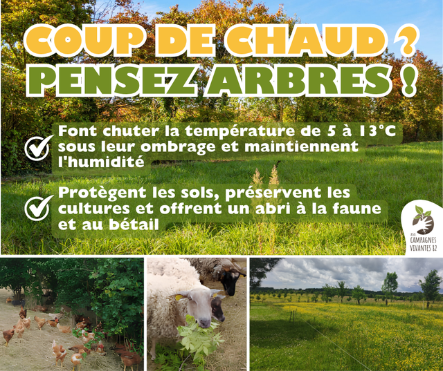 Planter des arbres et haies champêtres, Association Campagnes Vivantes 82