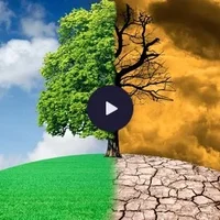 Les arbres face au changment climatique, la Tête au carré, France Inter