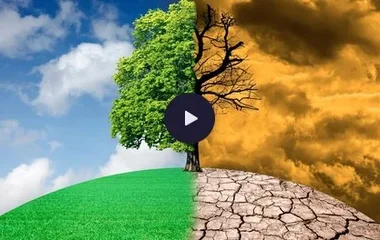 Les arbres face au changment climatique, la Tête au carré, France Inter