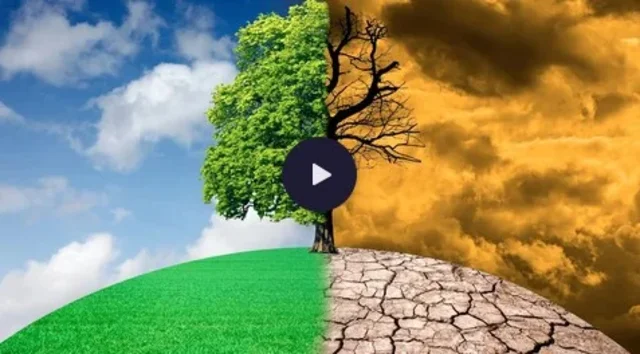 Les arbres face au changment climatique, la Tête au carré, France Inter