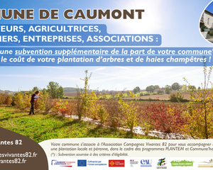 Caumont, subvention pour planter des arbres champêtres