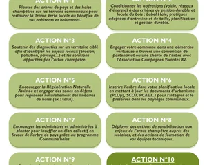 Elus locaux : faites de l'arbre de pays un projet de territoire