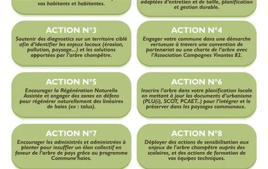 Elus locaux : faites de l'arbre de pays un projet de territoire