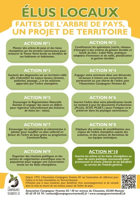 Elus locaux : faites de l'arbre de pays un projet de territoire