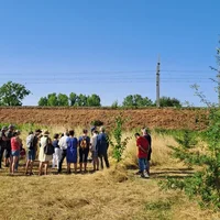 Atelier taille de formation des jeunes arbres, Assocation Campagnes Vivantes 82