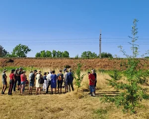 Atelier taille de formation des jeunes arbres, Assocation Campagnes Vivantes 82