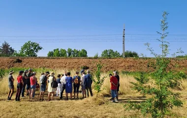 Atelier taille de formation des jeunes arbres, Assocation Campagnes Vivantes 82