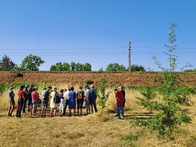 Atelier taille de formation des jeunes arbres, Assocation Campagnes Vivantes 82