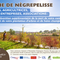 Nègrepelisse, aide financière pour la plantation d'arbres et de haies champêtres, Association Campagnes Vivantes 82