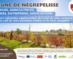 Nègrepelisse, aide financière pour la plantation d'arbres et de haies champêtres, Association Campagnes Vivantes 82
