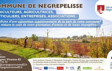 Nègrepelisse, aide financière pour la plantation d'arbres et de haies champêtres, Association Campagnes Vivantes 82